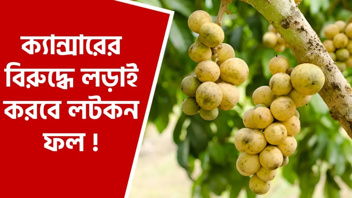 ক্যান্সার সারাতে লটকন ফল