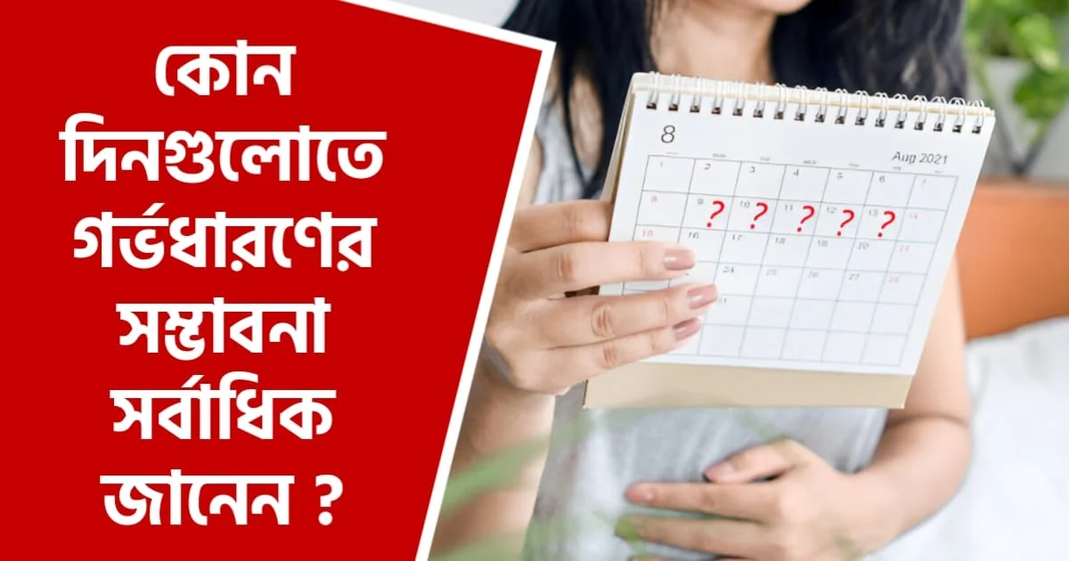 কোন সময়ে প্রেগ্ন্যান্সির সম্ভাবনা বেশী থাকে জানেন